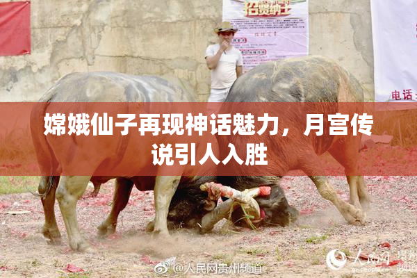 嫦娥仙子再现神话魅力，月宫传说引人入胜