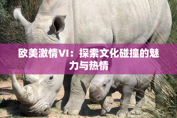 欧美激情VI：探索文化碰撞的魅力与热情