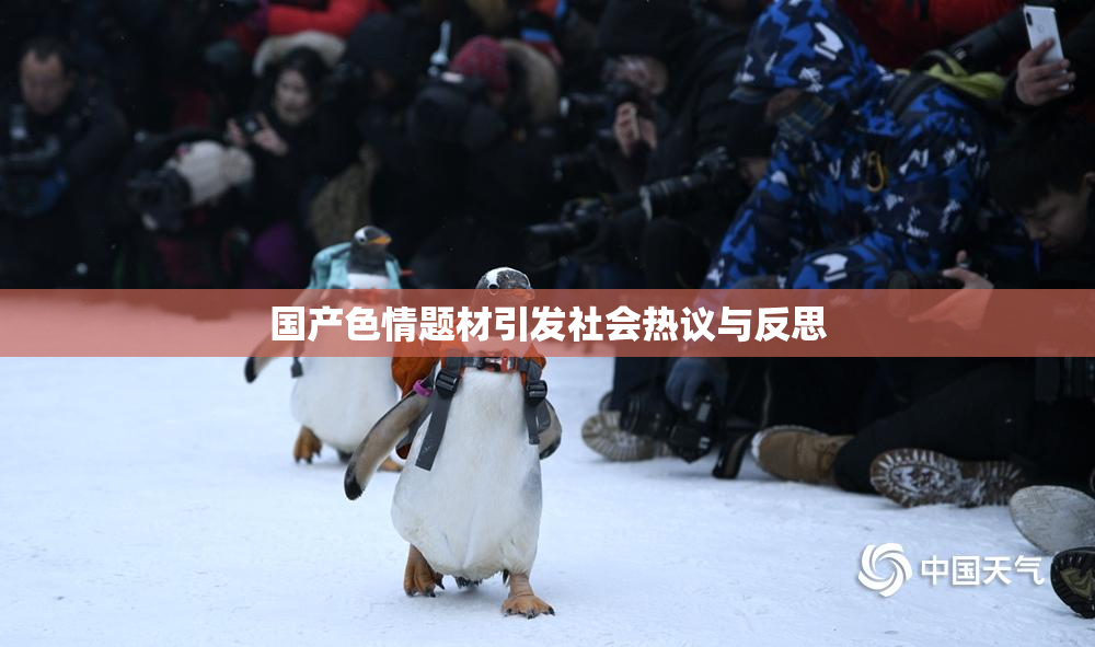 国产色情题材引发社会热议与反思