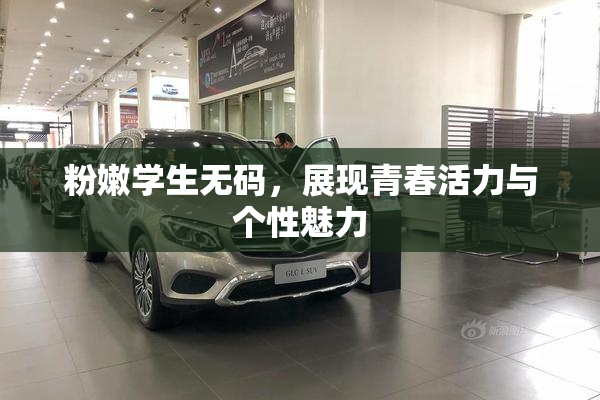 粉嫩学生无码，展现青春活力与个性魅力