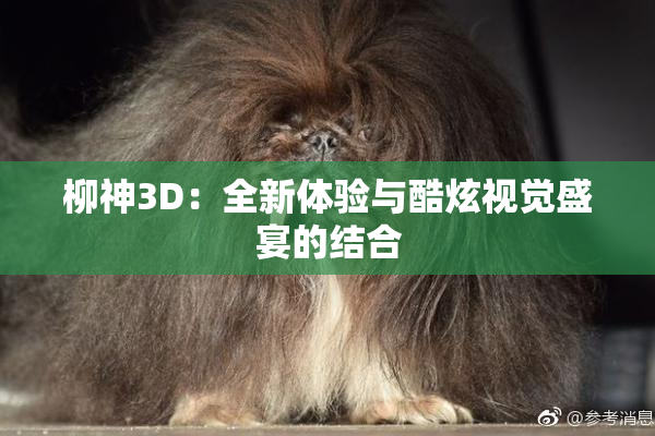 柳神3D：全新体验与酷炫视觉盛宴的结合
