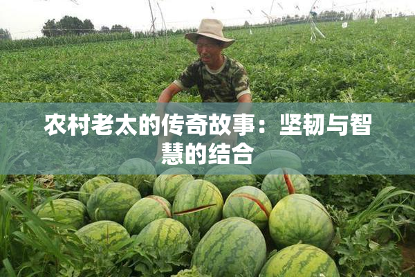 农村老太的传奇故事：坚韧与智慧的结合