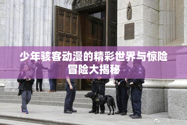 少年骇客动漫的精彩世界与惊险冒险大揭秘