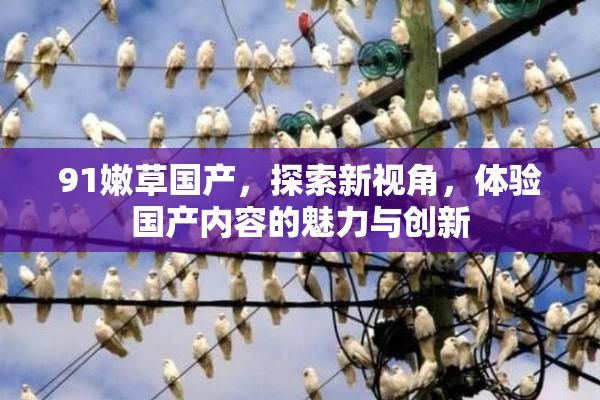 91嫩草国产，探索新视角，体验国产内容的魅力与创新