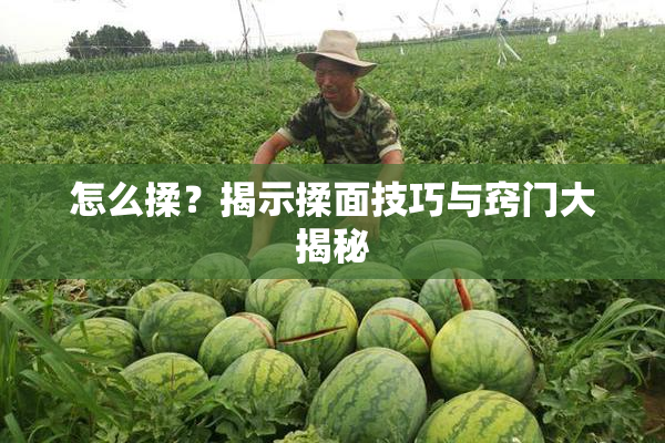怎么揉？揭示揉面技巧与窍门大揭秘