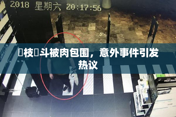 狛枝凪斗被肉包围，意外事件引发热议