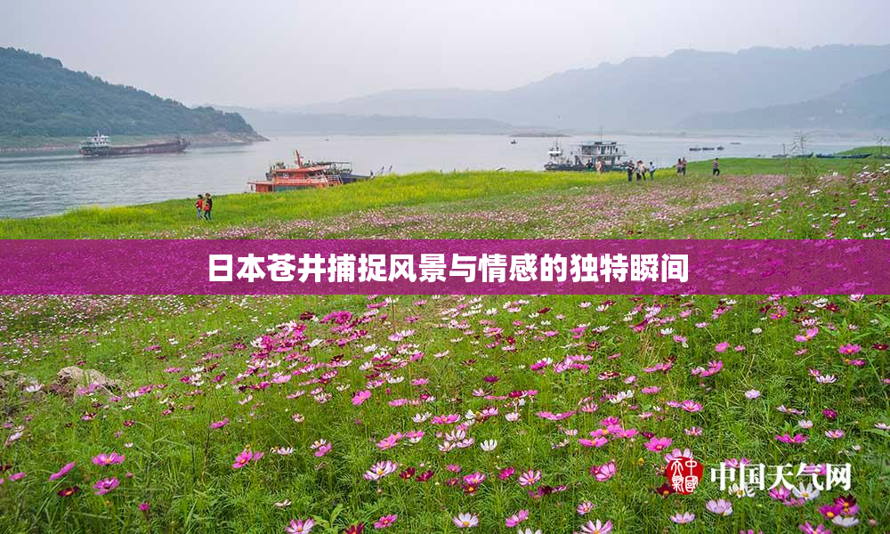日本苍井捕捉风景与情感的独特瞬间