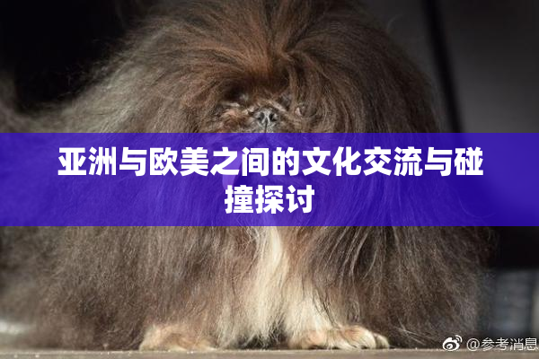 亚洲与欧美之间的文化交流与碰撞探讨