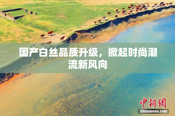 国产白丝品质升级，掀起时尚潮流新风向