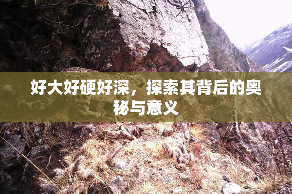 好大好硬好深，探索其背后的奥秘与意义