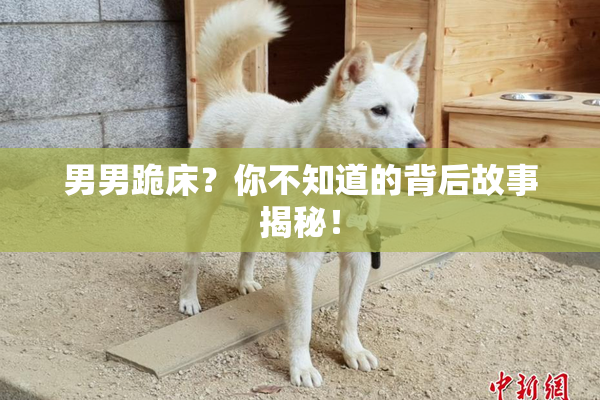 男男跪床？你不知道的背后故事揭秘！