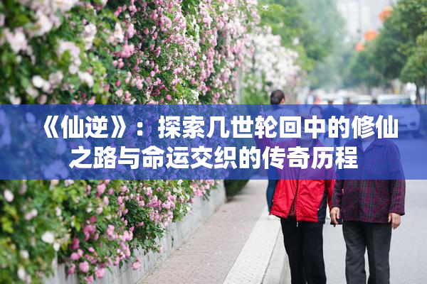 《仙逆》：探索几世轮回中的修仙之路与命运交织的传奇历程