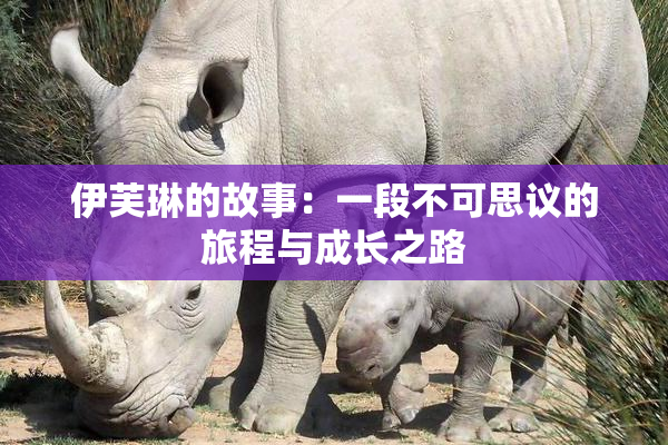 伊芙琳的故事：一段不可思议的旅程与成长之路