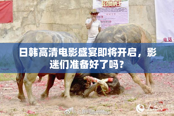 日韩高清电影盛宴即将开启，影迷们准备好了吗？