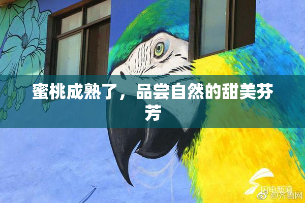 蜜桃成熟了，品尝自然的甜美芬芳