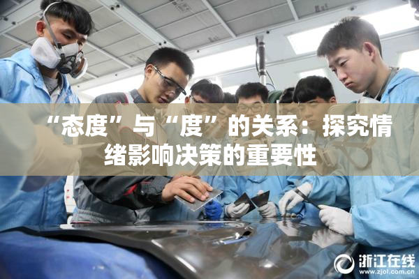 “态度”与“度”的关系：探究情绪影响决策的重要性