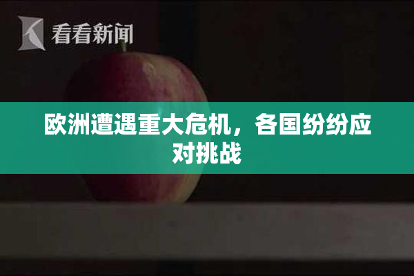 欧洲遭遇重大危机，各国纷纷应对挑战