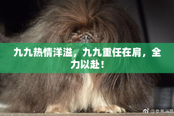九九热情洋溢，九九重任在肩，全力以赴！