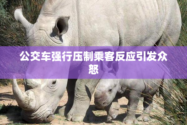公交车强行压制乘客反应引发众怒