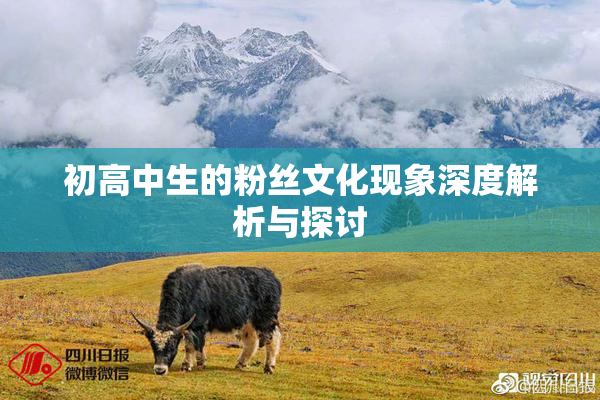 初高中生的粉丝文化现象深度解析与探讨