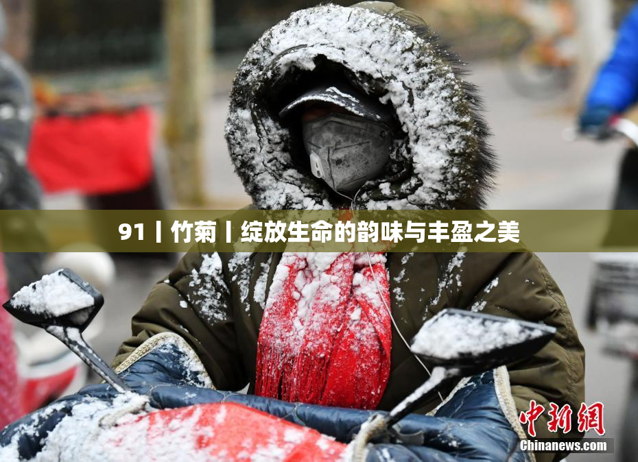 91丨竹菊丨绽放生命的韵味与丰盈之美