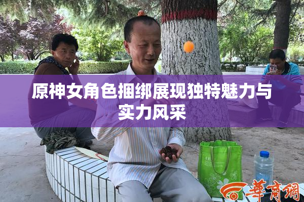 原神女角色捆绑展现独特魅力与实力风采
