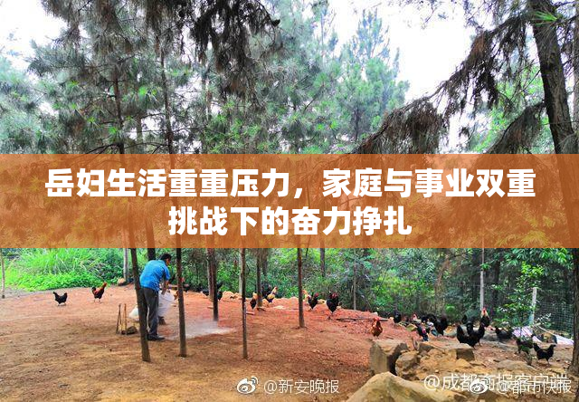 岳妇生活重重压力，家庭与事业双重挑战下的奋力挣扎