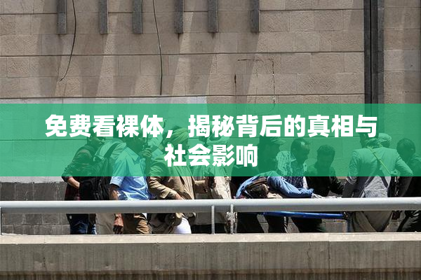 免费看裸体，揭秘背后的真相与社会影响