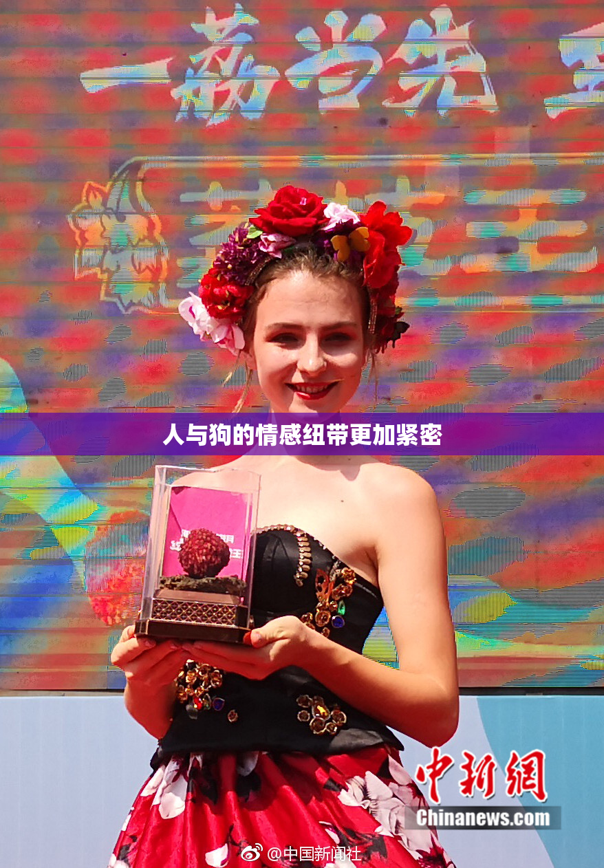 人与狗的情感纽带更加紧密