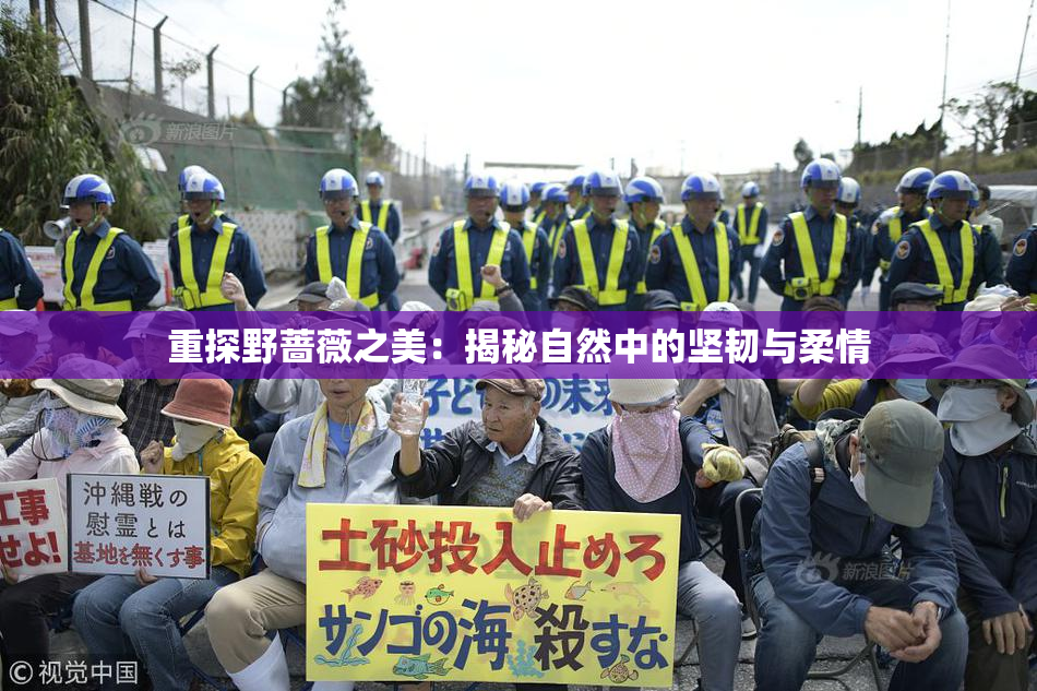 重探野蔷薇之美：揭秘自然中的坚韧与柔情