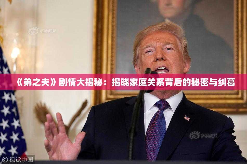 《弟之夫》剧情大揭秘：揭晓家庭关系背后的秘密与纠葛