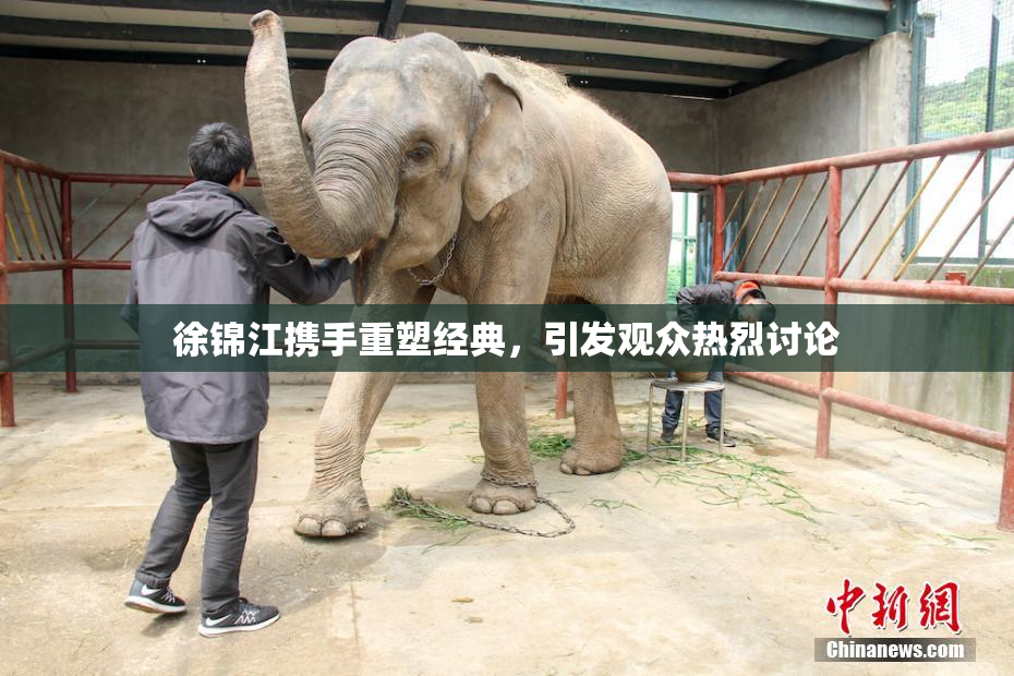 徐锦江携手重塑经典，引发观众热烈讨论