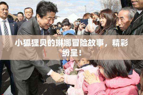 小狐狸贝的琳娜冒险故事，精彩纷呈！