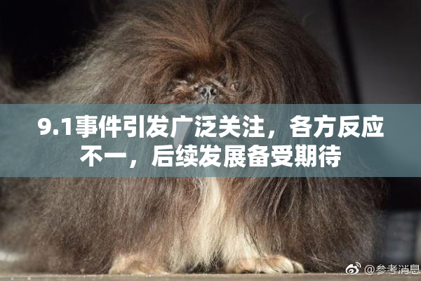 9.1事件引发广泛关注，各方反应不一，后续发展备受期待