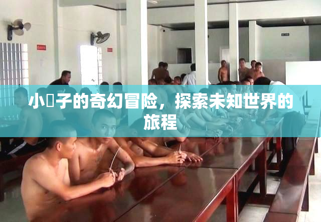 小峓子的奇幻冒险，探索未知世界的旅程