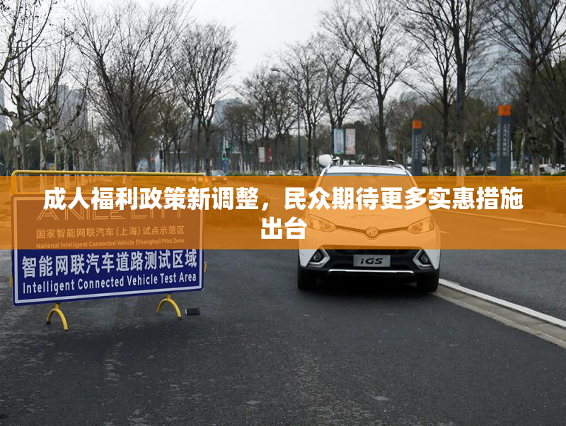 成人福利政策新调整，民众期待更多实惠措施出台