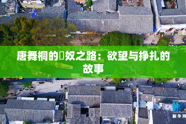 唐舞桐的婬奴之路：欲望与挣扎的故事