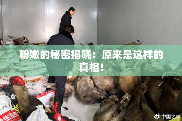 粉嫩的秘密揭晓：原来是这样的真相！