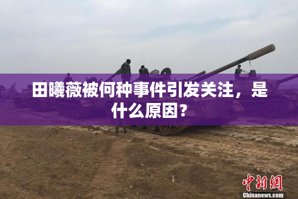 田曦薇被何种事件引发关注，是什么原因？