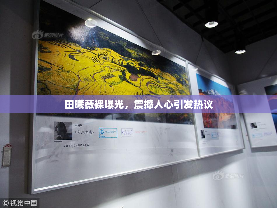 田曦薇裸曝光，震撼人心引发热议