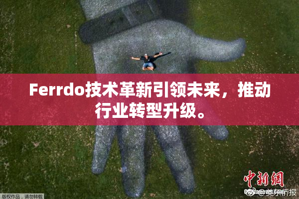 Ferrdo技术革新引领未来，推动行业转型升级。