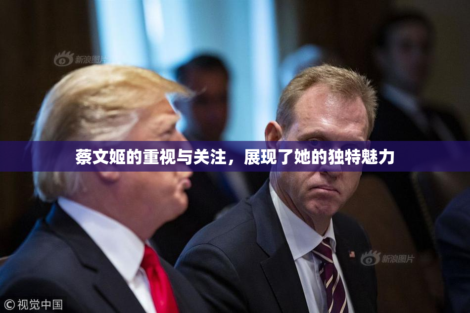 蔡文姬的重视与关注，展现了她的独特魅力