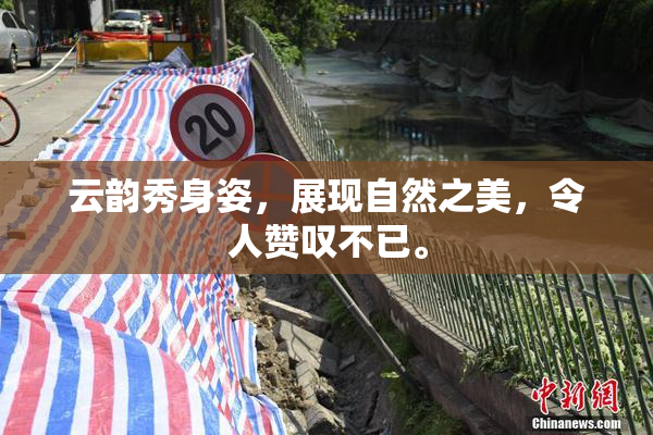 云韵秀身姿，展现自然之美，令人赞叹不已。