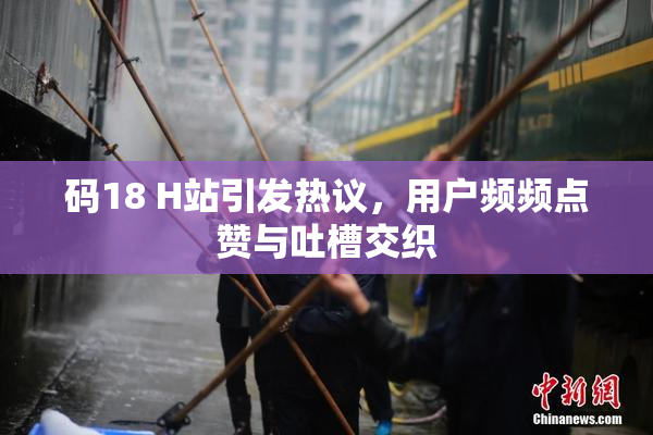码18 H站引发热议，用户频频点赞与吐槽交织