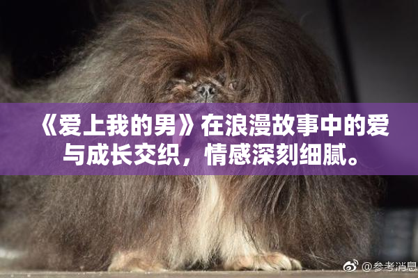 《爱上我的男》在浪漫故事中的爱与成长交织，情感深刻细腻。