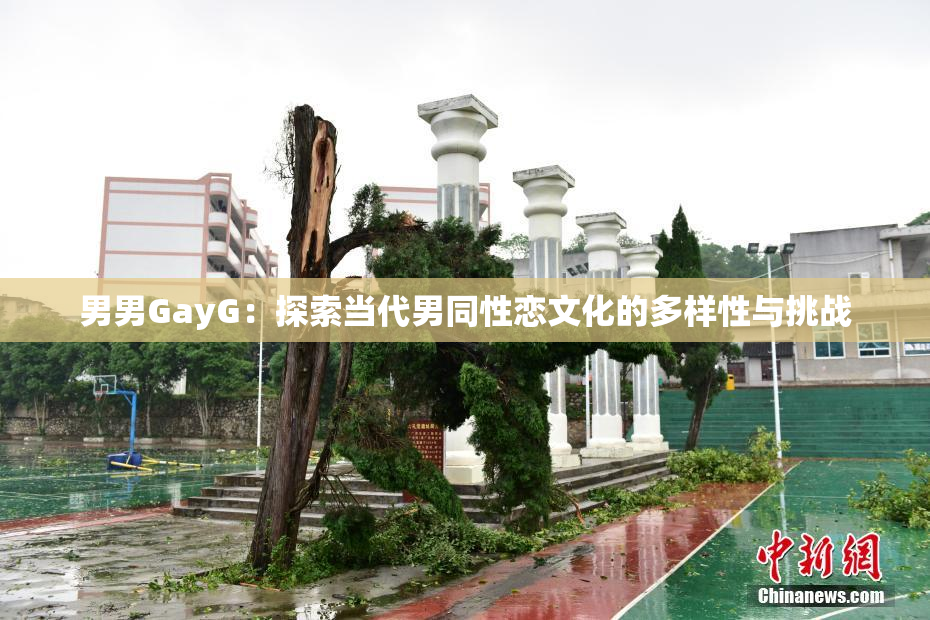 男男GayG：探索当代男同性恋文化的多样性与挑战