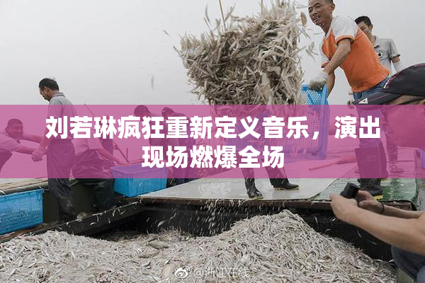 刘若琳疯狂重新定义音乐，演出现场燃爆全场