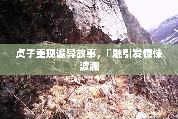 贞子重现诡异故事，婬魅引发惊悚波澜