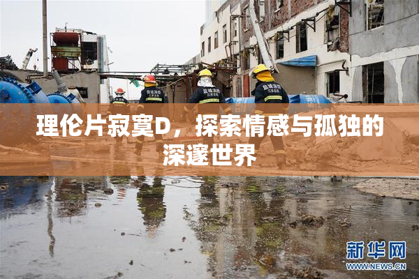 理伦片寂寞D，探索情感与孤独的深邃世界