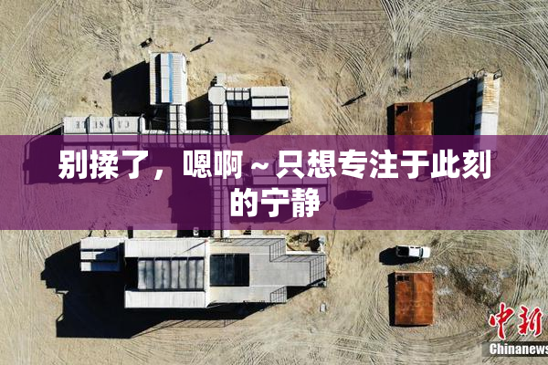 别揉了，嗯啊～只想专注于此刻的宁静